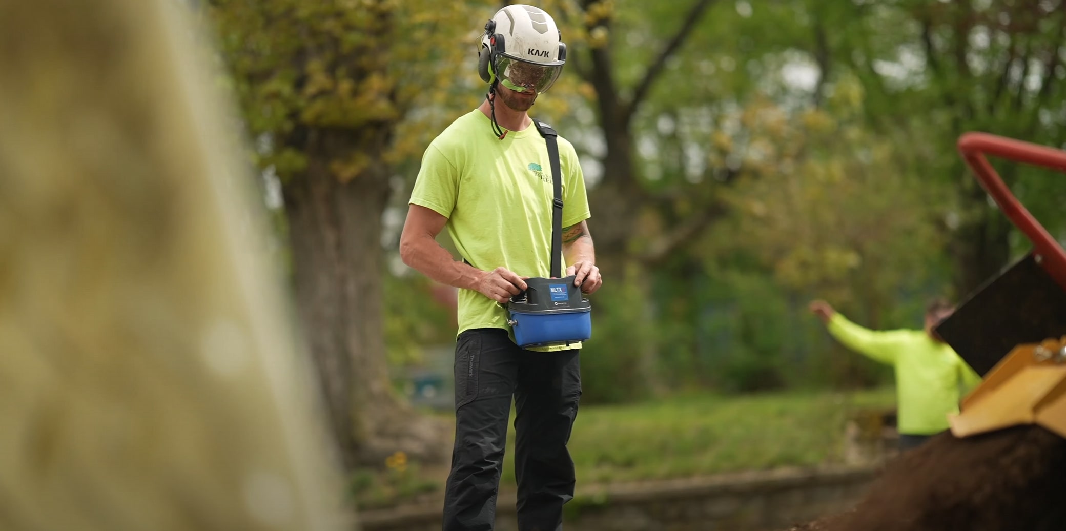 Tree Health & Maintenance service in Wildwood, MO