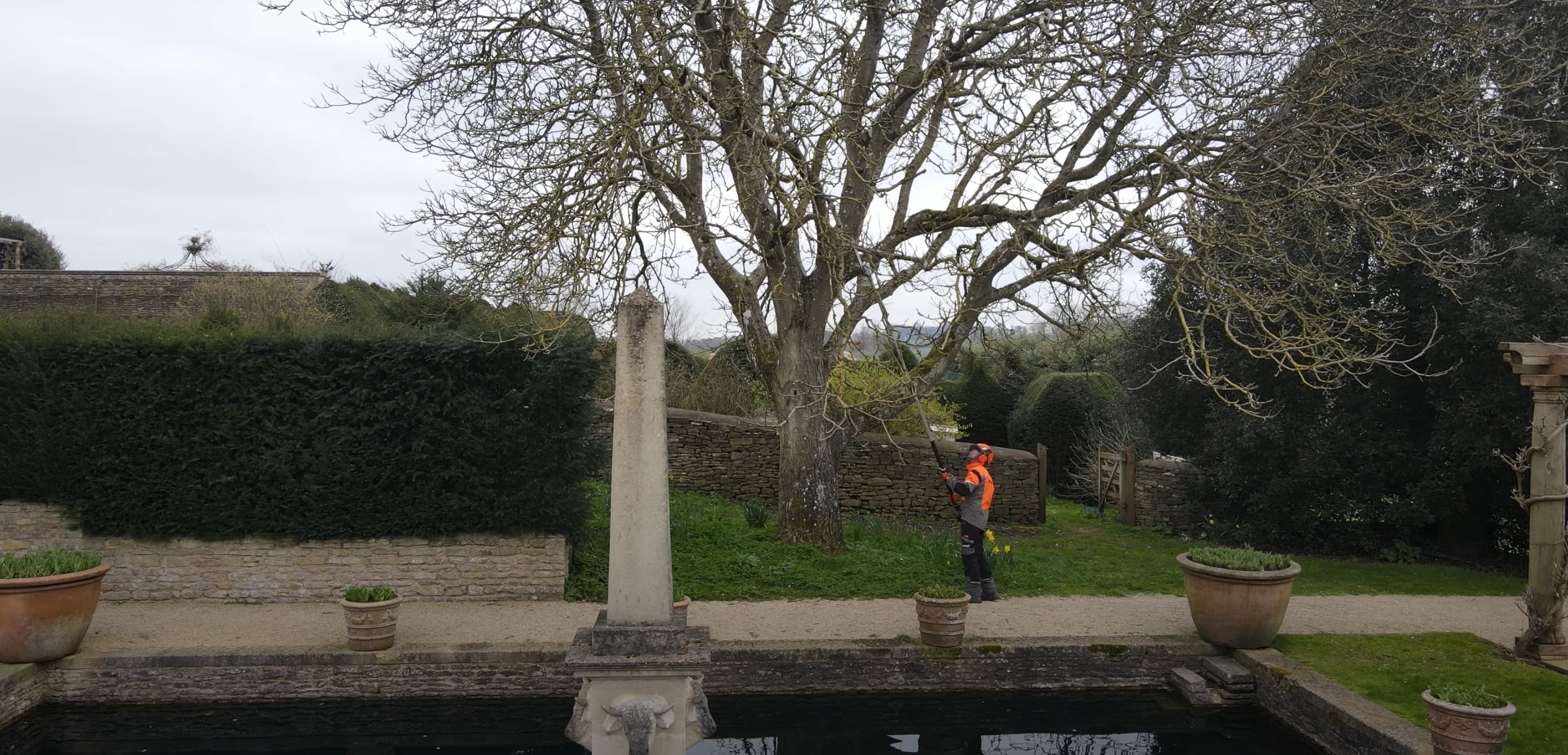 Tree Trimming & Pruning service in Wildwood, MO